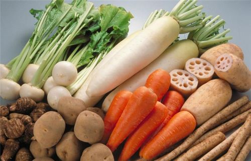 周至蔬菜配送西安袋鼠鲜蔬配送生鲜蔬菜配送